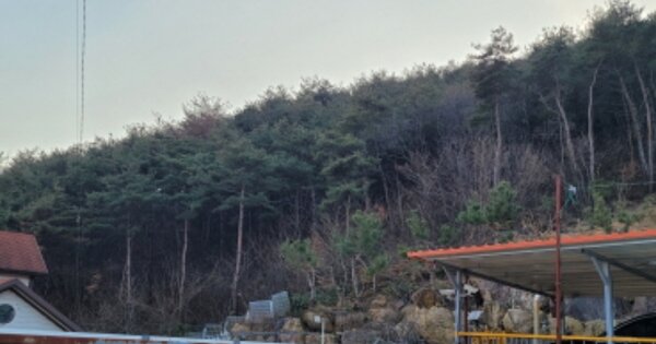 경상북도 청도군 청도읍 사촌리 OOOOO 임야 경매 물건 이미지