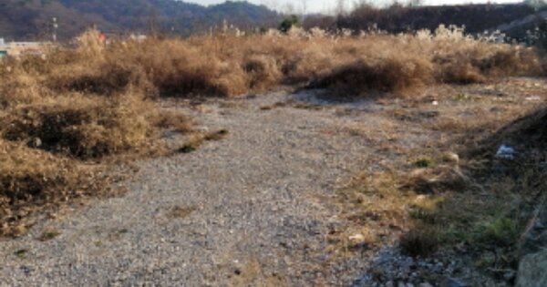 울산광역시 울주군 온산읍 덕신리 OOOOO 임야 경매 물건 이미지