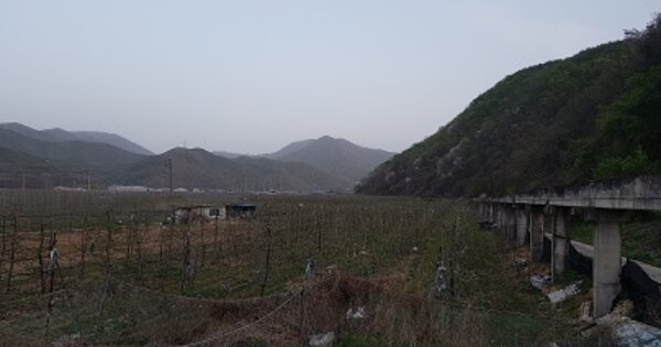 경상북도 의성군 옥산면 구성리 OOO 과수원 경매 물건 이미지