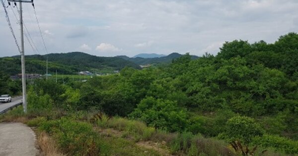 경상북도 군위군 산성면 화전리 OOOO 임야 경매 물건 이미지