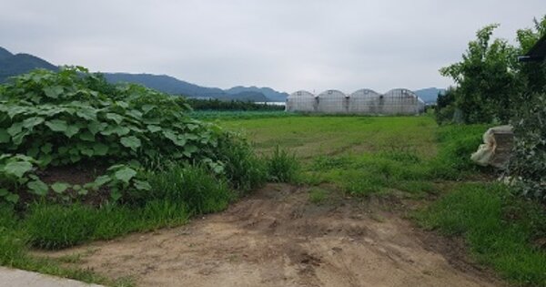 경상북도 군위군 군위읍 사직리 OOOOO 답 경매 물건 이미지