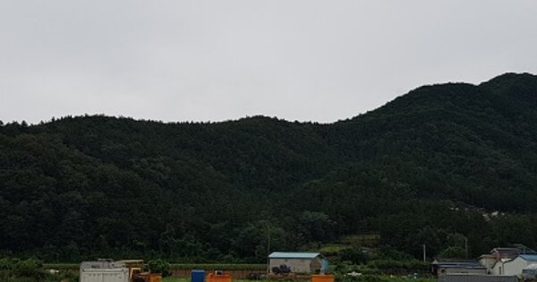 경상북도 군위군 효령면 장기리 OOO 임야 경매 물건 이미지