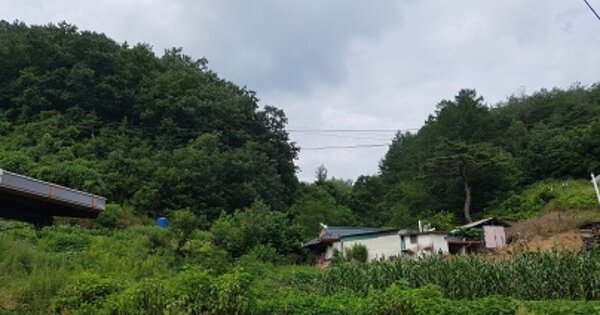 경상북도 청송군 주왕산면 신점리 OOO O OOO 임야 경매 물건 이미지