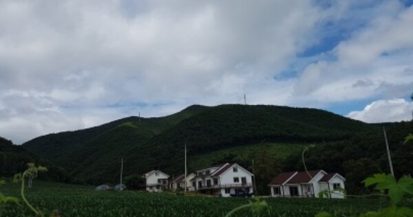 경상북도 청송군 진보면 시량리 OOOO 임야 경매 물건 이미지