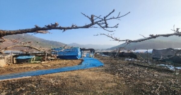 충청북도 옥천군 군서면 금산리 OOO 전 경매 물건 이미지