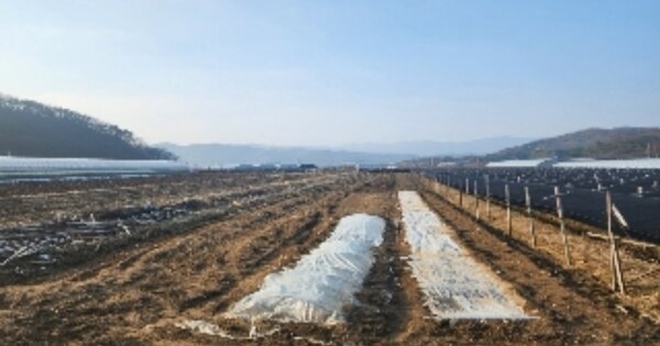 충청북도 옥천군 군서면 금산리 OOOOO 답 경매 물건 이미지