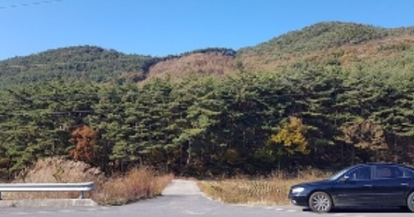 충청남도 보령시 주산면 증산리 OOOOO 임야 경매 물건 이미지
