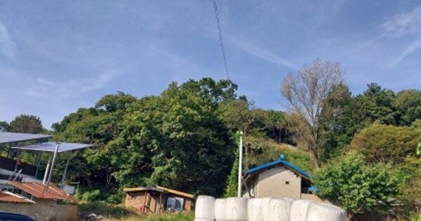 충청남도 공주시 계룡면 구왕리 OOOOO O OOO 임야 경매 물건 이미지