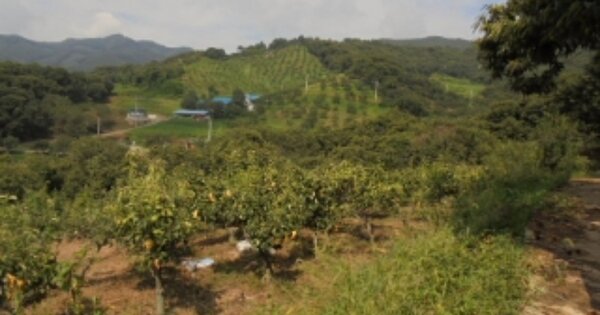 충청남도 부여군 은산면 각대리 OOO 전 경매 물건 이미지
