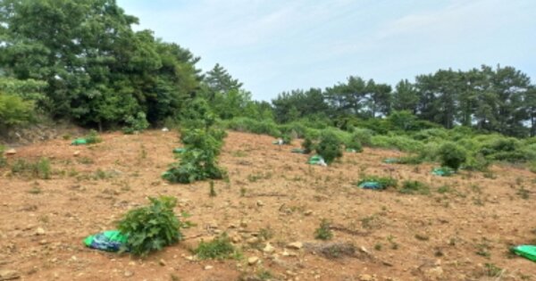 경상남도 거제시 남부면 저구리 OOOOOO 전 경매 물건 이미지