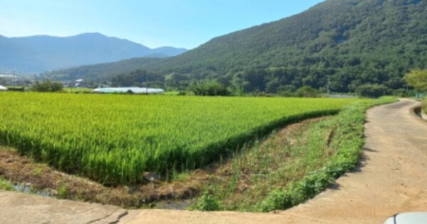 경상남도 거제시 거제면 옥산리 OOOOO 답 경매 물건 이미지