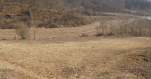 충청북도 음성군 원남면 마송리 OOO O OOO 전 경매 물건 이미지