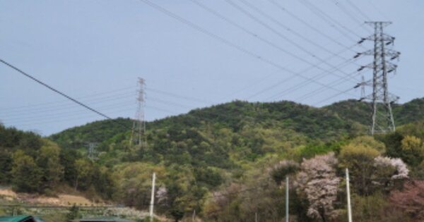 경상북도 포항시 남구 오천읍 용산리 OOO 임야 경매 물건 이미지