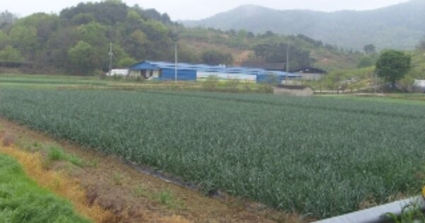 경상남도 산청군 단성면 강누리 OOOOOO 답 경매 물건 이미지