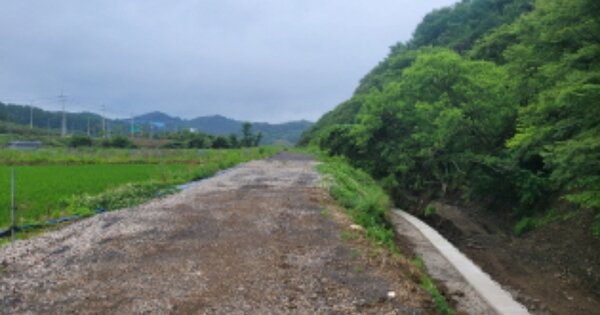 경상북도 포항시 남구 동해면 상정리 OOOOO 답 경매 물건 이미지