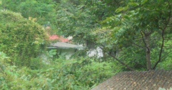 충청북도 충주시 살미면 세성리 OOO O OOO 단독주택 경매 물건 이미지