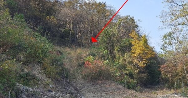 전라북도 임실군 관촌면 회봉리 OOO 전 경매 물건 이미지