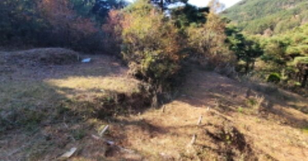대구광역시 달성군 논공읍 노이리 OOO 임야 경매 물건 이미지