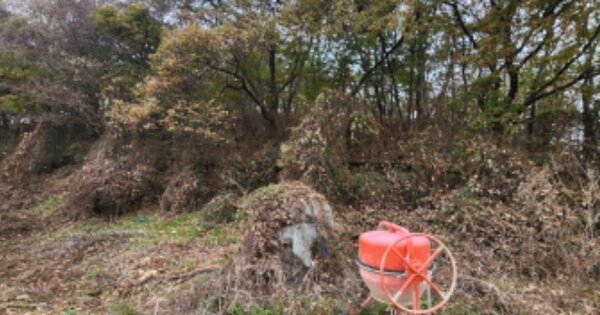 경기도 김포시 양촌읍 구래리 OOOOOO 임야 경매 물건 이미지