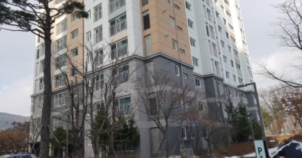 경기 안성시 가사동 175, 106동 OOOOOOOO OOOOOOOOOOOO 아파트 경매 물건 이미지