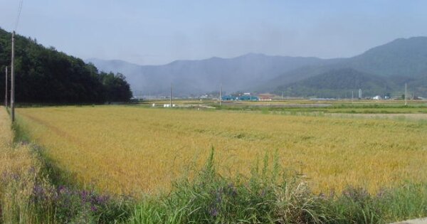 전라남도 해남군 계곡면 덕정리 OOOOOO 답 경매 물건 이미지