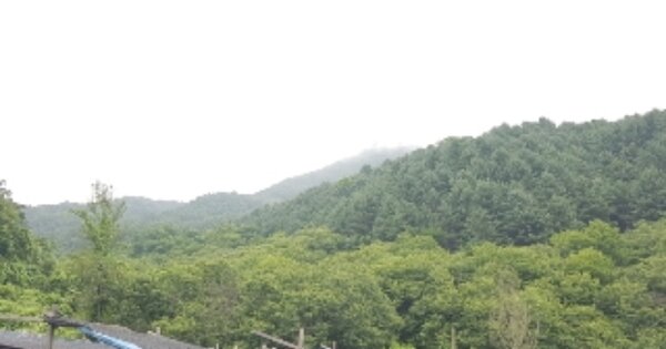 강원특별자치도 춘천시 사북면 고성리 OOO 전 경매 물건 이미지