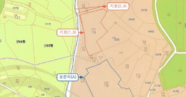 전라남도 영암군 도포면 원항리 OOOO O OOO 임야 경매 물건 이미지