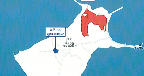 전라남도 무안군 현경면 용정리 OOO O OOO 전 경매 물건 이미지