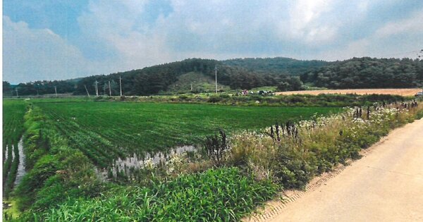 충청남도 서산시 지곡면 연화리 OOO 답 경매 물건 이미지