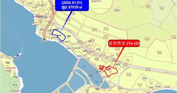전라남도 신안군 장산면 다수리 OOO O OOO 답 경매 물건 이미지