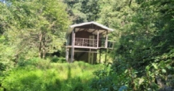 충청북도 청주시 서원구 남이면 산막리 OOOOO O OOO 동물 및 식물 관련시설 경매 물건 이미지