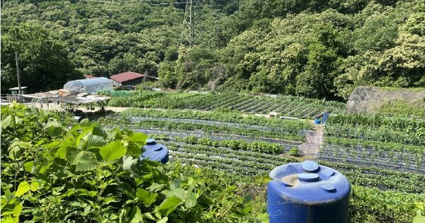 경기도 광주시 목동 OOOOO O OOO 단독주택 경매 물건 이미지