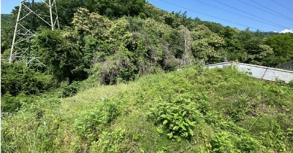 경기도 광주시 목동 OOO 답 경매 물건 이미지
