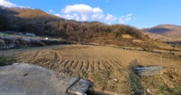 충청북도 보은군 마로면 소여리 OOO 전 경매 물건 이미지