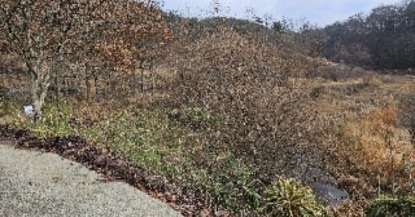 전라남도 보성군 문덕면 양동리 OOO O OOO 답 경매 물건 이미지