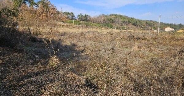 전라남도 고흥군 도양읍 용정리 OOO 답 경매 물건 이미지