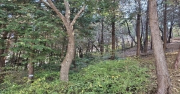 부산광역시 연제구 연산동 OOO 임야 경매 물건 이미지
