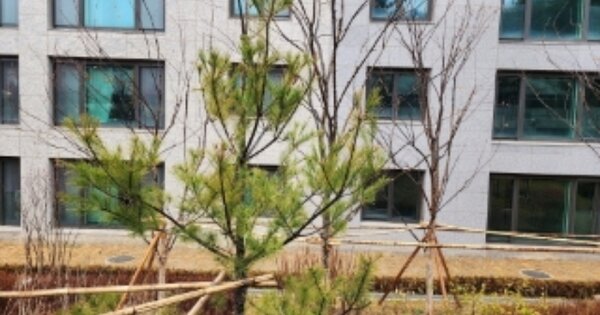 경기도 성남시 수정구 신흥동 OOO 대지 경매 물건 이미지