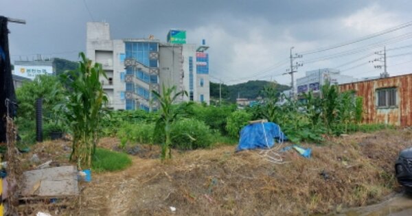 경기도 파주시 광탄면 신산리 OOOOO 답 경매 물건 이미지