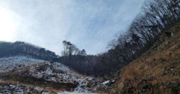 경기도 가평군 청평면 하천리 OOOOO 임야 경매 물건 이미지