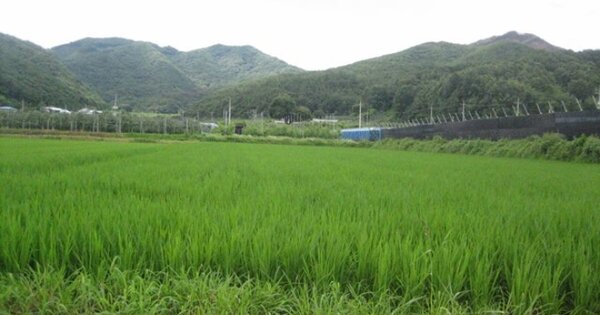 경상북도 상주시 외남면 흔평리 OOO 답 경매 물건 이미지