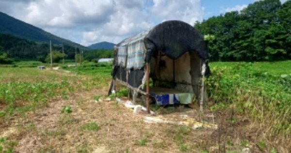 광주광역시 북구 충효동 OOO 답 경매 물건 이미지