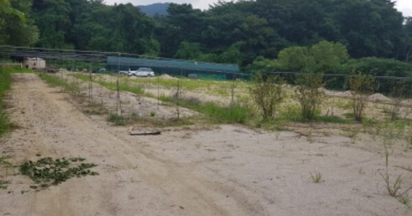 경기도 남양주시 금곡동 OOOOO 답 경매 물건 이미지