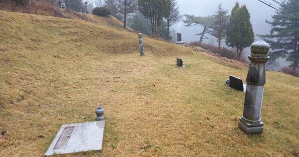 경기도 포천시 신북면 삼정리 OOOOOO O OOO 임야 경매 물건 이미지