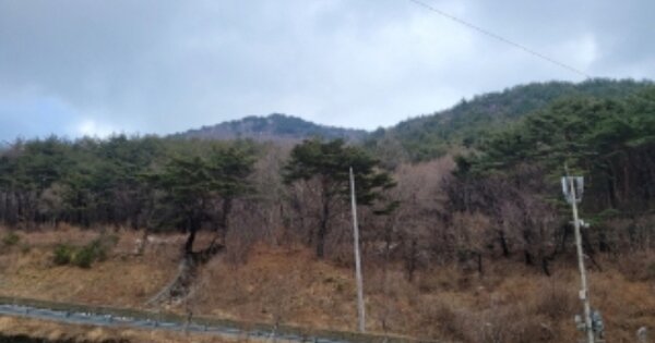 울산광역시 울주군 두서면 인보리 OOOOOO 임야 경매 물건 이미지