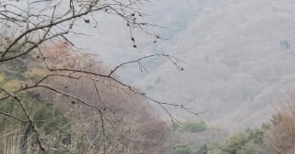 경상남도 양산시 상북면 내석리 OOOO 임야 경매 물건 이미지