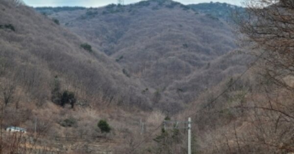 경상남도 양산시 상북면 내석리 OOOOOO 임야 경매 물건 이미지