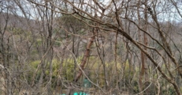 경상남도 양산시 상북면 내석리 OO 임야 경매 물건 이미지