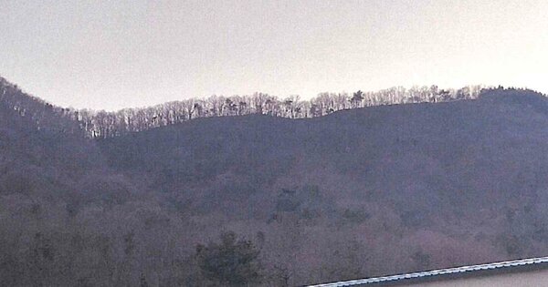 경상남도 김해시 상동면 우계리 OOO 임야 경매 물건 이미지