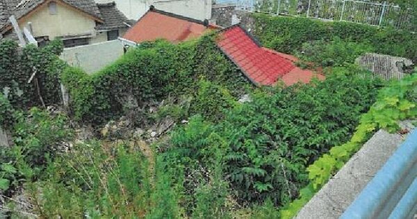 강원특별자치도 동해시 발한동 8-84 임야 경매 물건 이미지